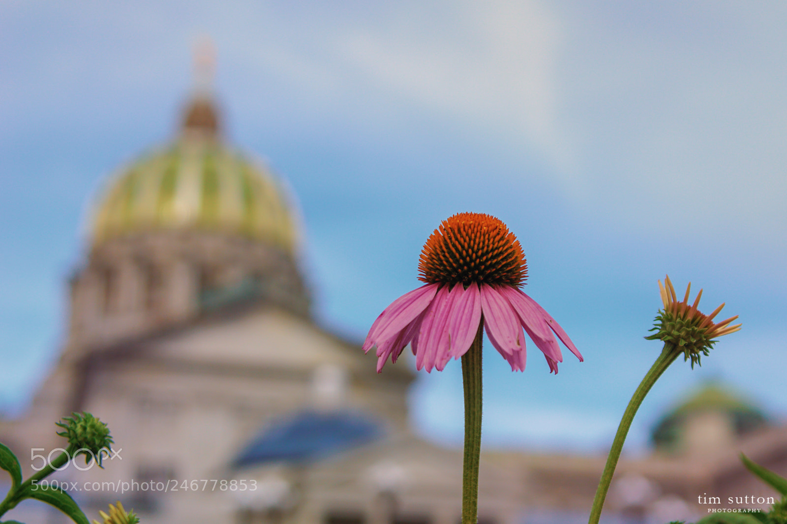 Sony ILCA-77M2 sample photo. State capital photography