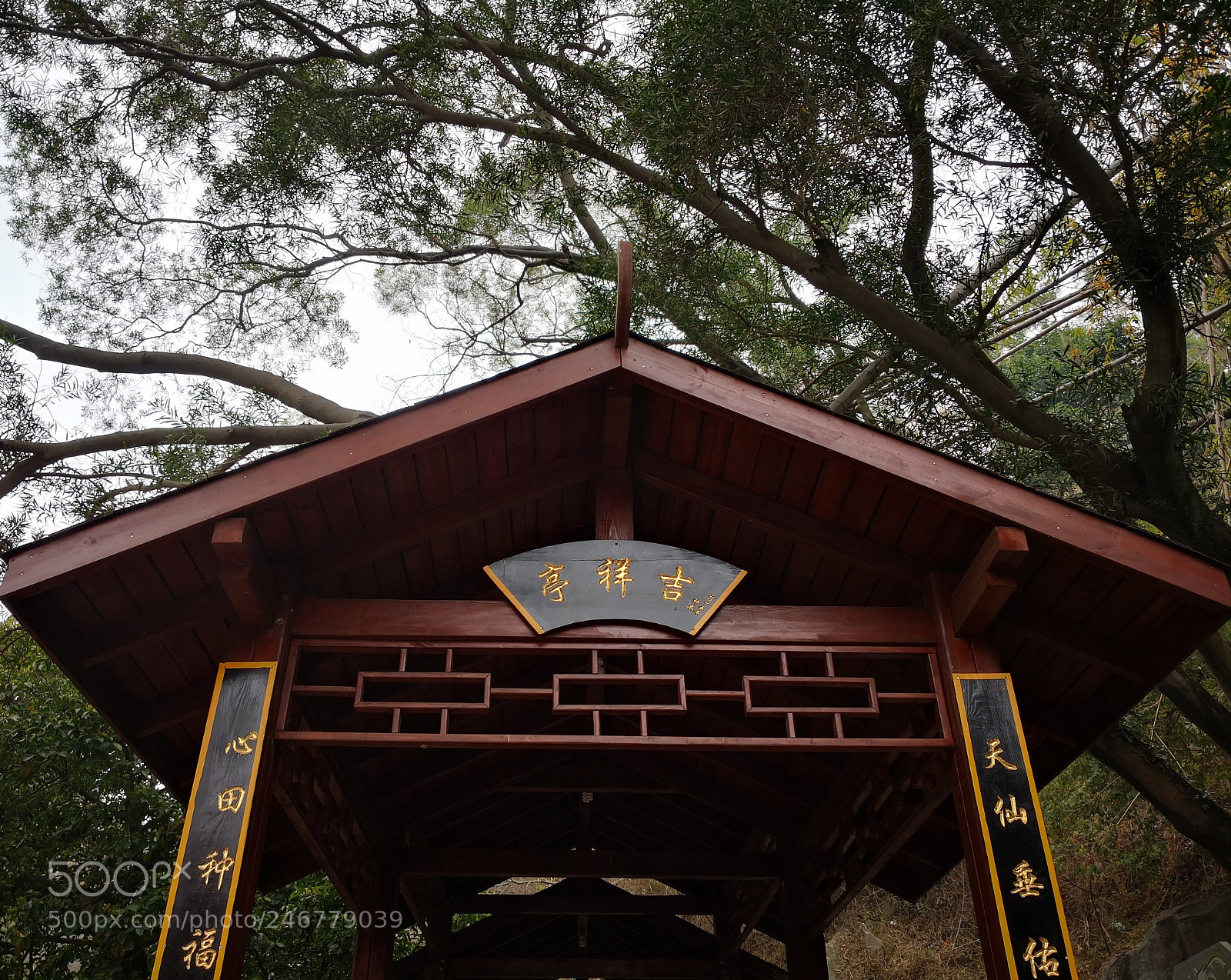 HUAWEI Mate 10 sample photo. Untitled photography