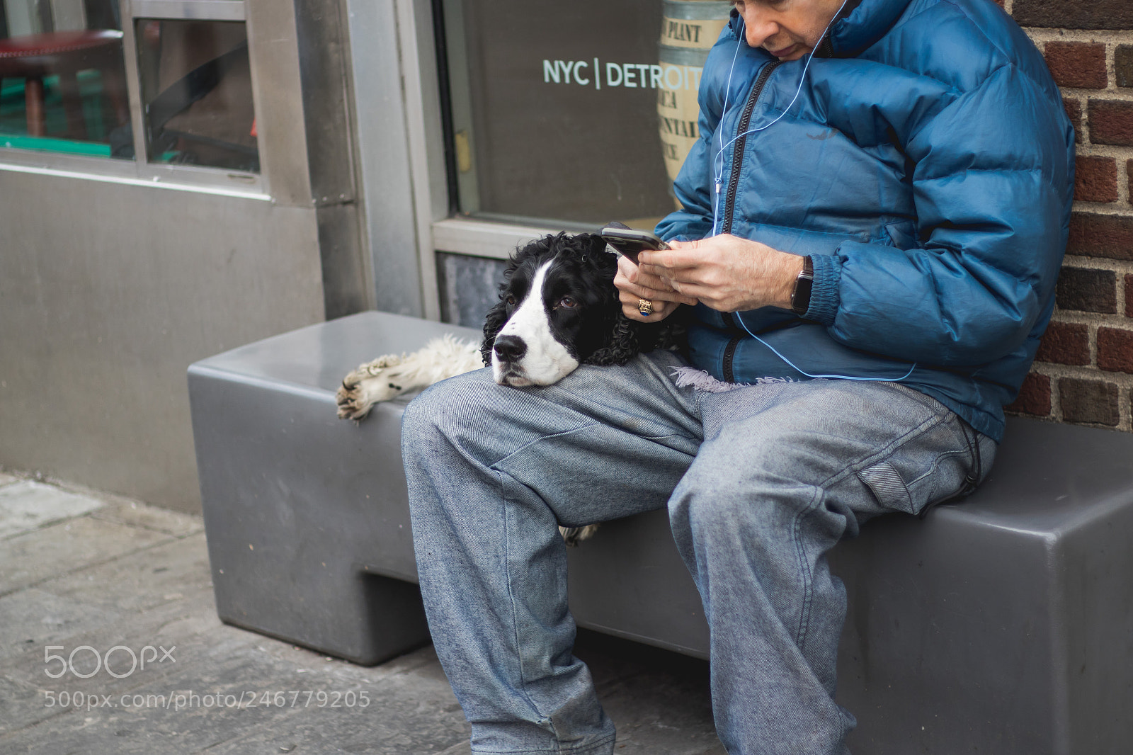 Canon EOS 7D Mark II sample photo. Lazy dog relaxing on photography