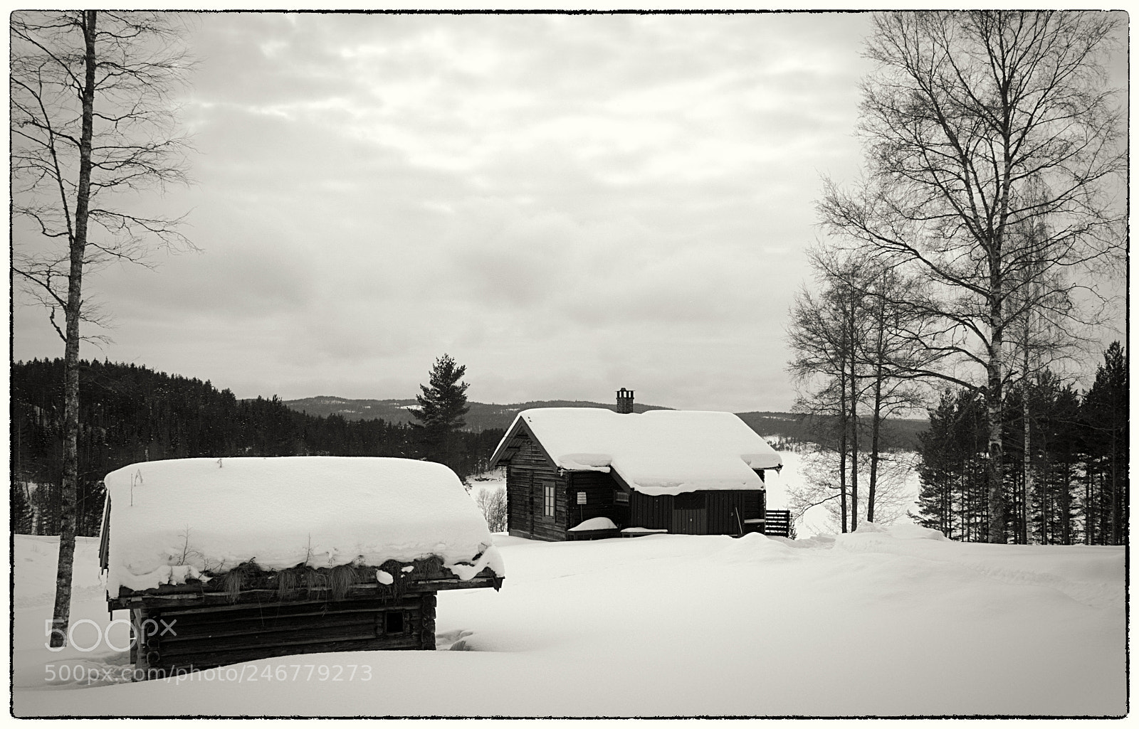 Olympus OM-D E-M5 II sample photo. Never ending snowing photography
