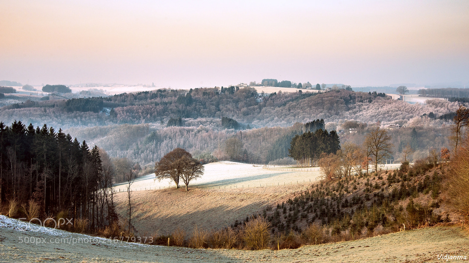 Nikon D610 sample photo. Vallée givrée photography