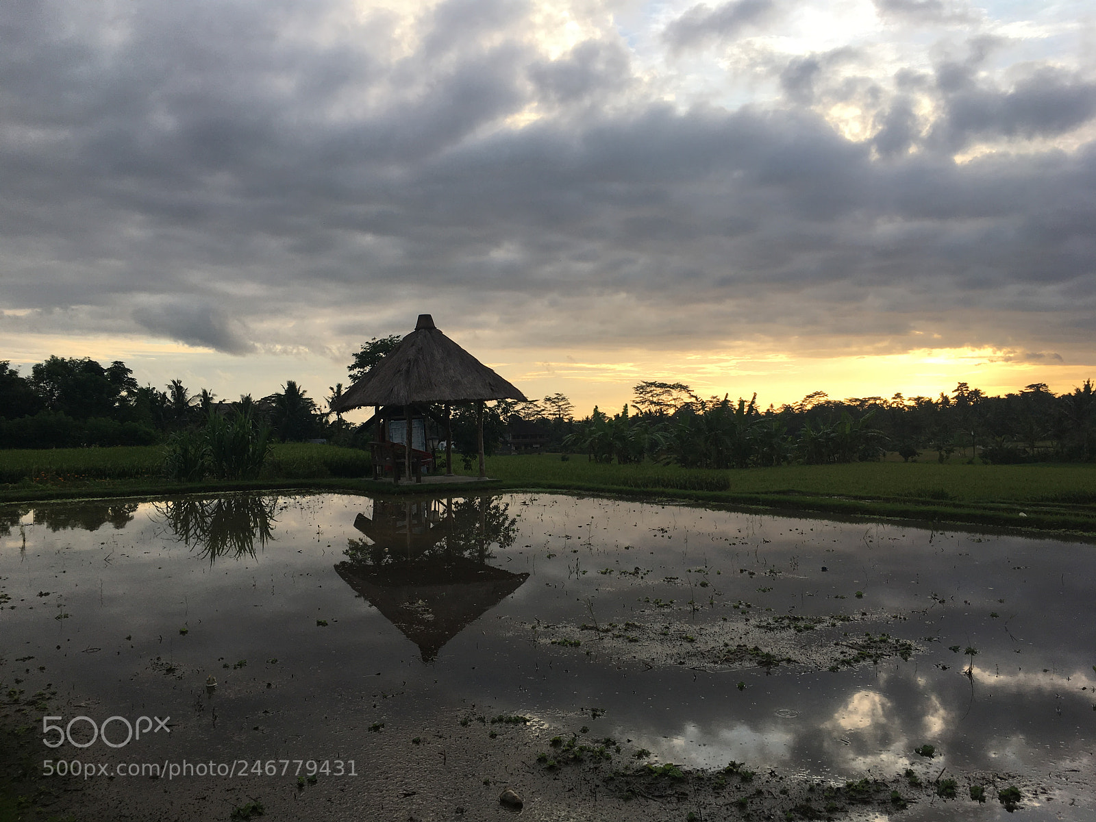 Apple iPhone 6s sample photo. Evening beauty in ubud photography