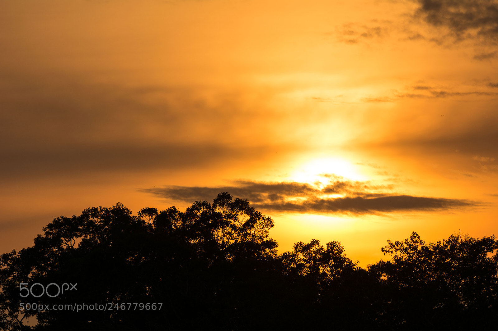 Nikon D7100 sample photo. Sunset photography