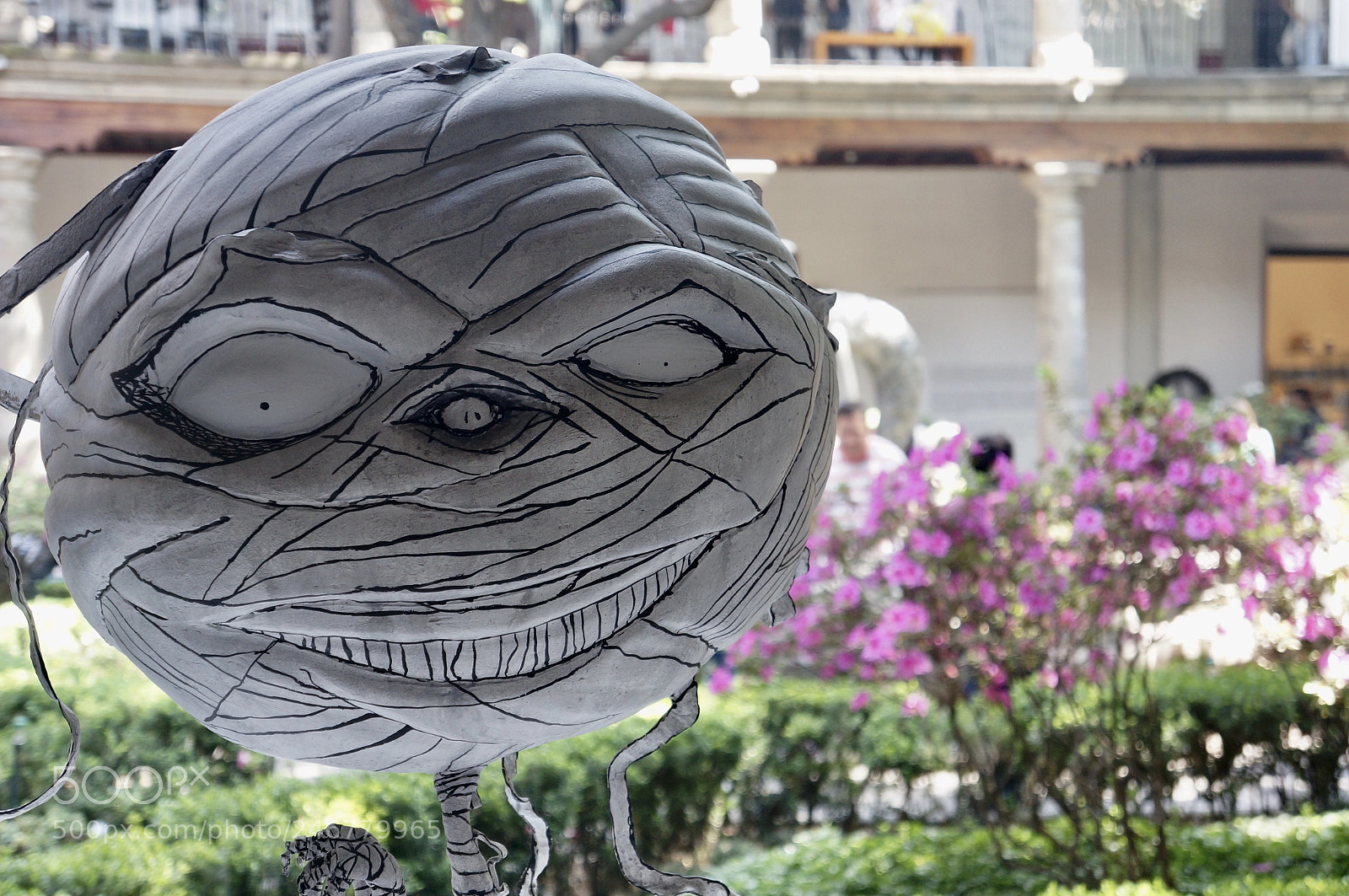 Sony Alpha NEX-5N sample photo. Tim burton ...mexico !!?? photography