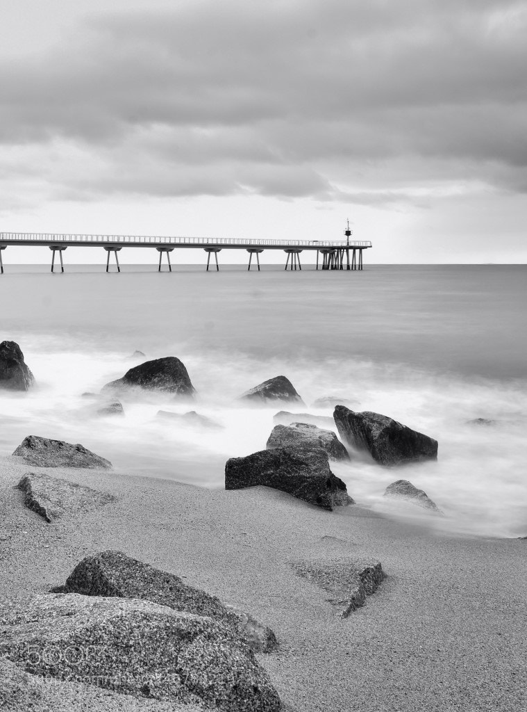 Nikon D7200 sample photo. Pont del petroli photography