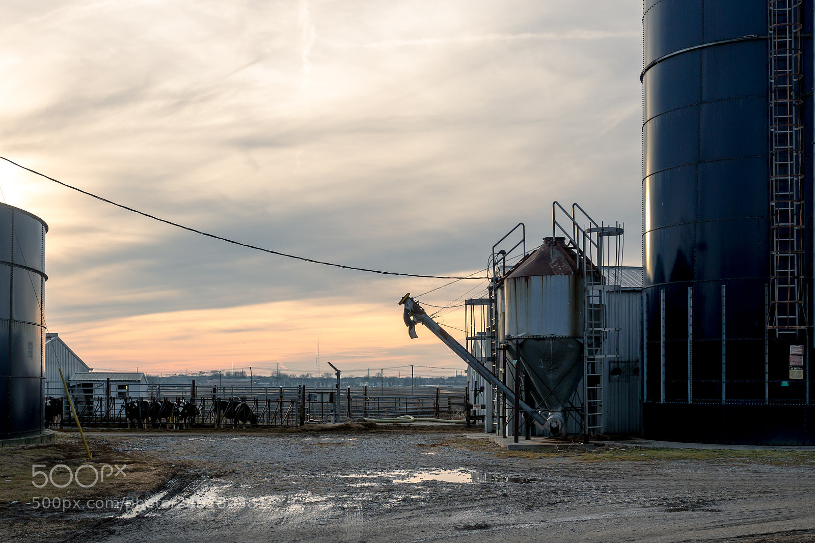 Olympus OM-D E-M10 II sample photo. Champaign-urbana, illinois photography