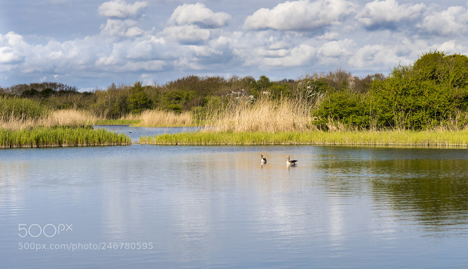 Nikon D500 sample photo. Cristal duch lake photography