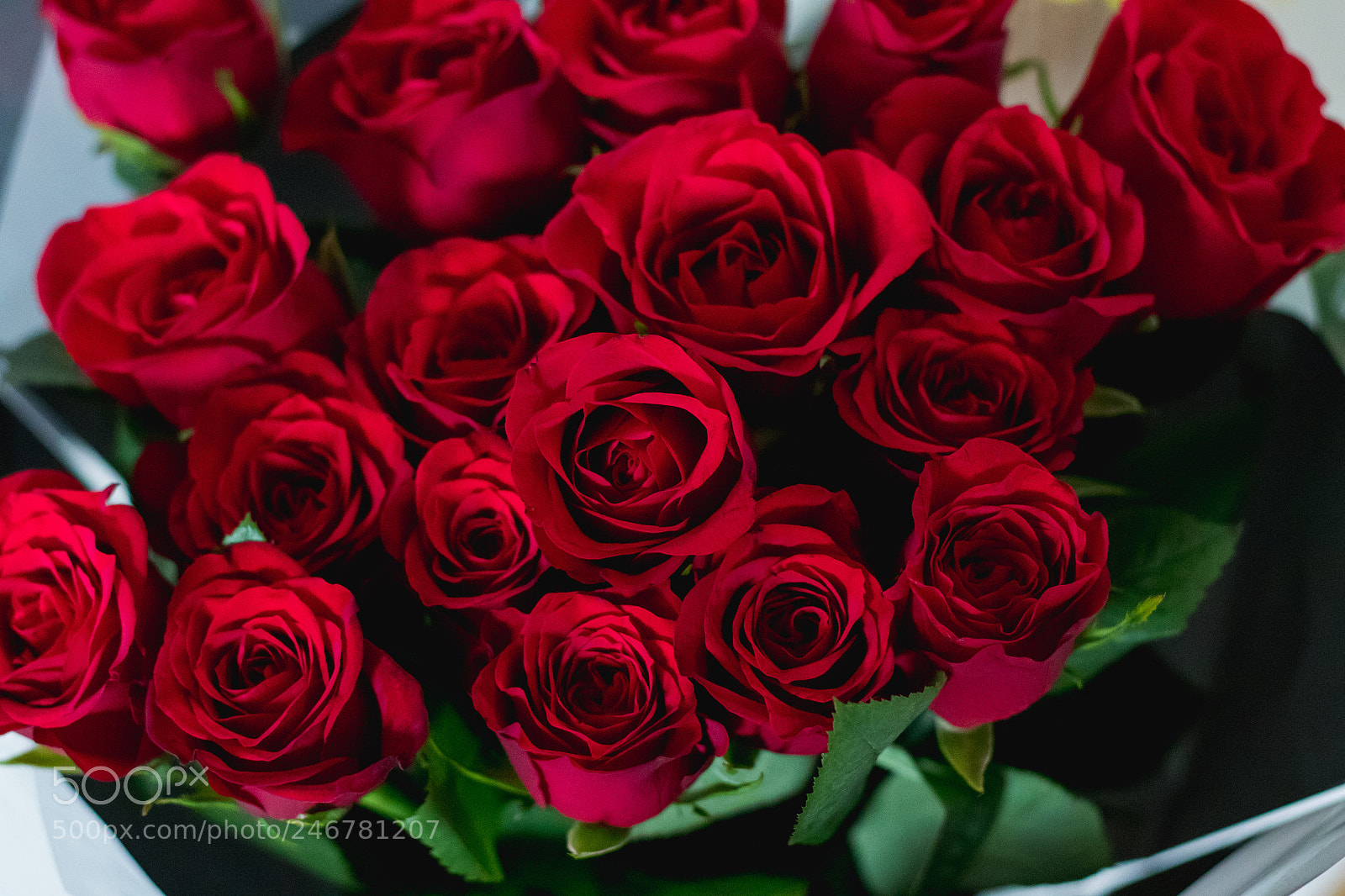 Canon EOS 7D Mark II sample photo. Red roses bunch love photography