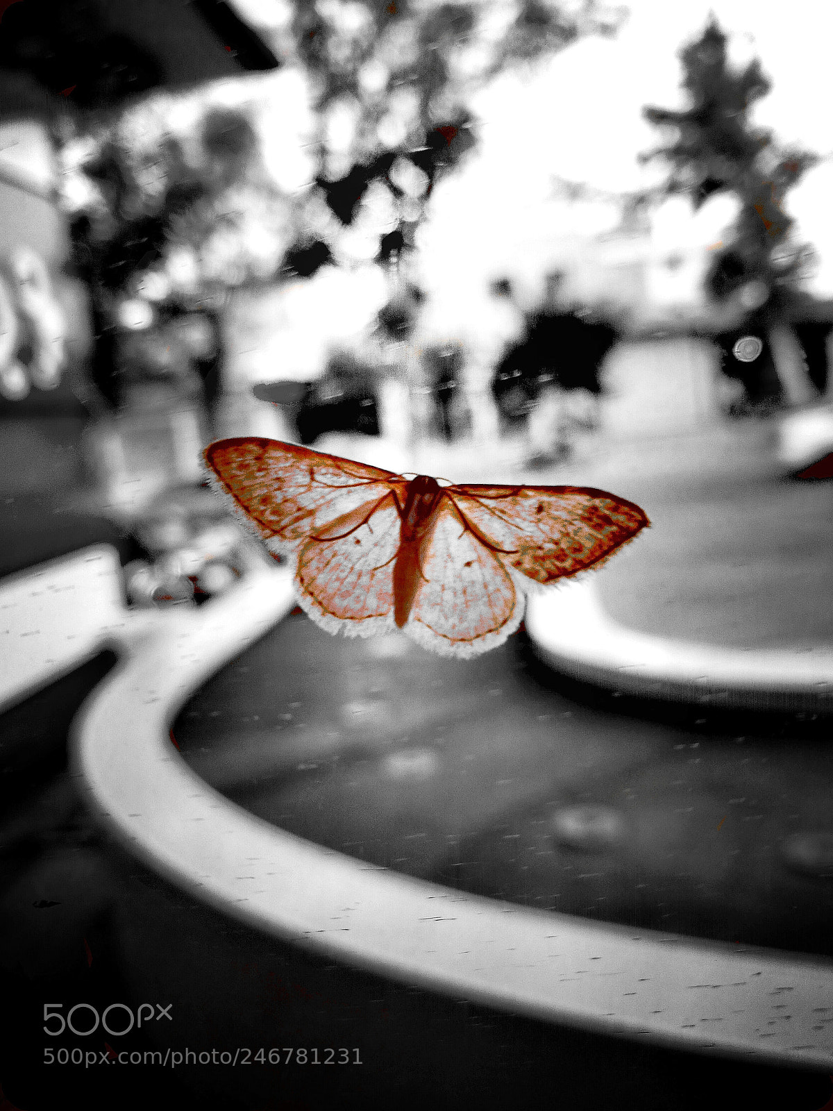 HUAWEI P9 sample photo. Splash photography