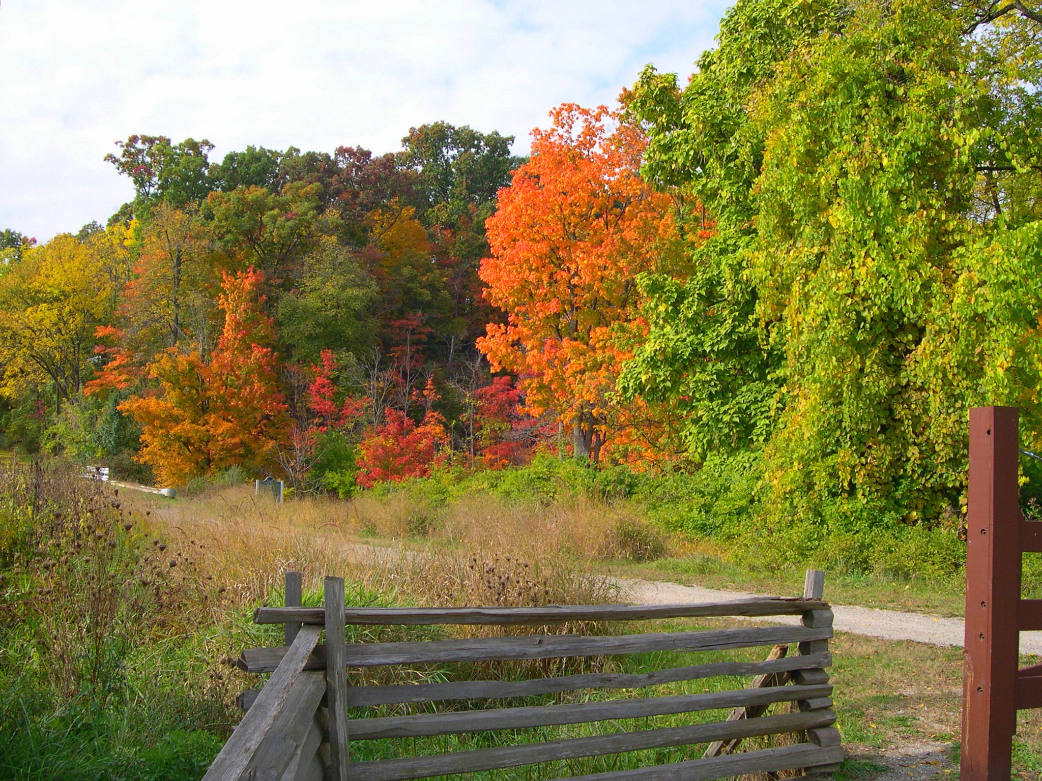 Nikon E4300 sample photo. Country lane fall photography