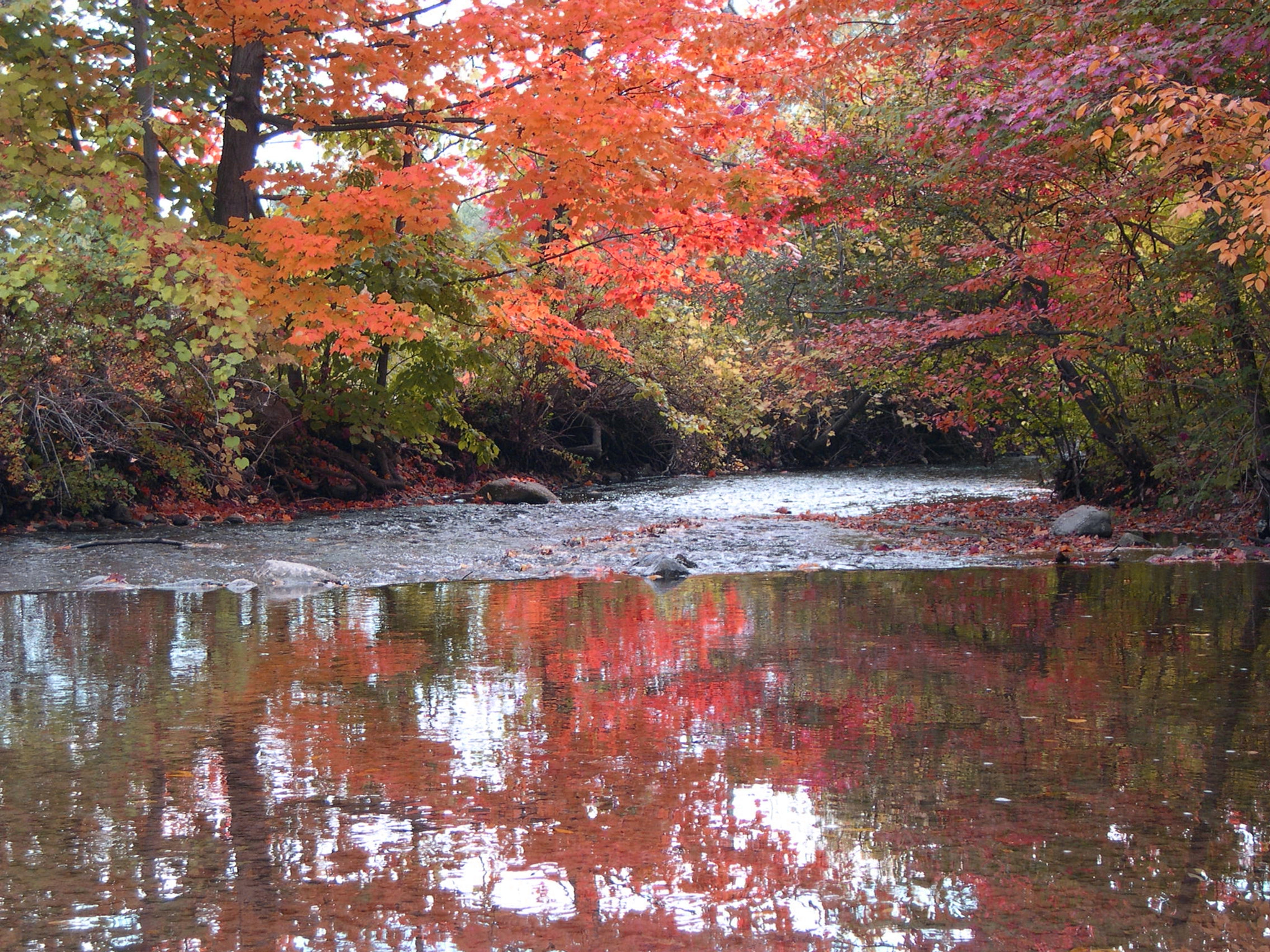 Nikon E4300 sample photo. Country river fall photography