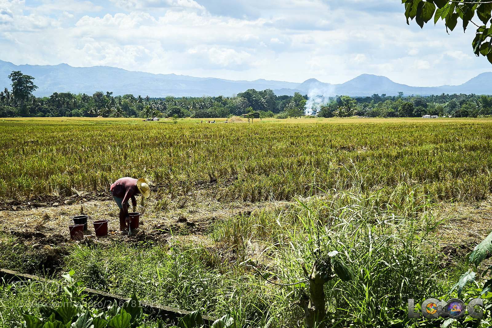 Sony a7S II sample photo. Harvest photography