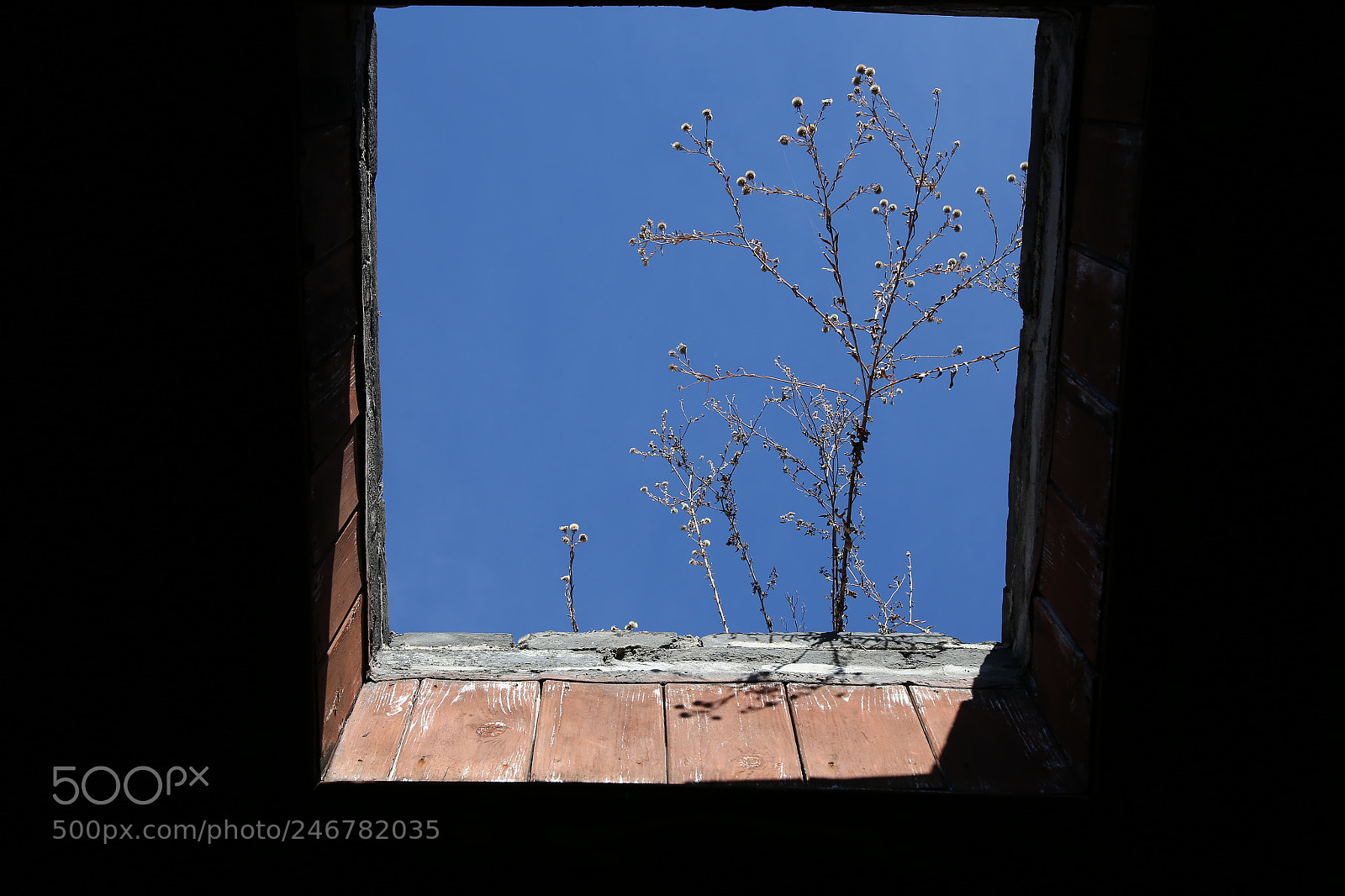 Canon EOS 6D + Canon EF 24-105mm F4L IS USM sample photo. Window photography