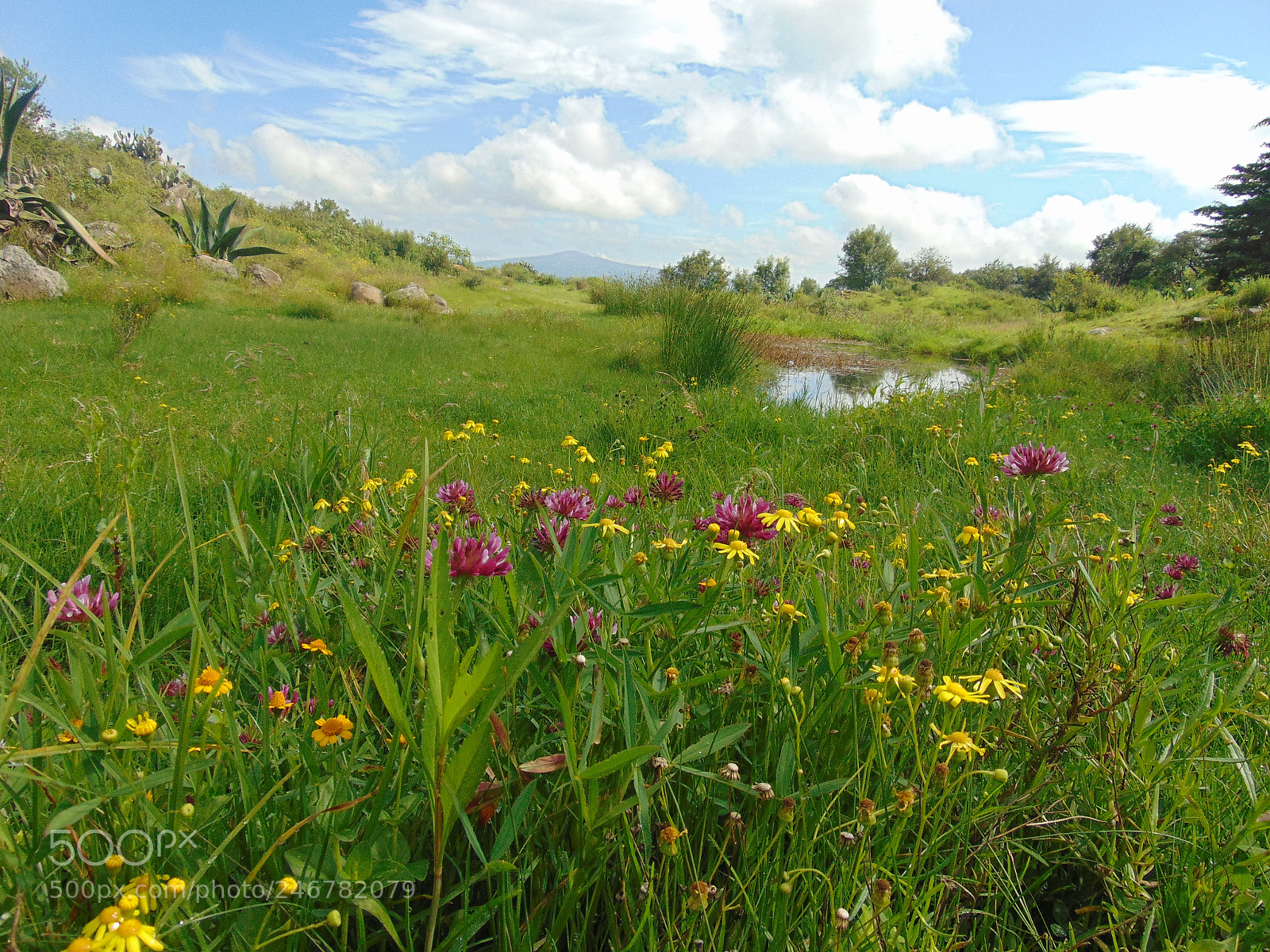 Sony Cyber-shot DSC-H300 sample photo. Hidalgo mex. photography