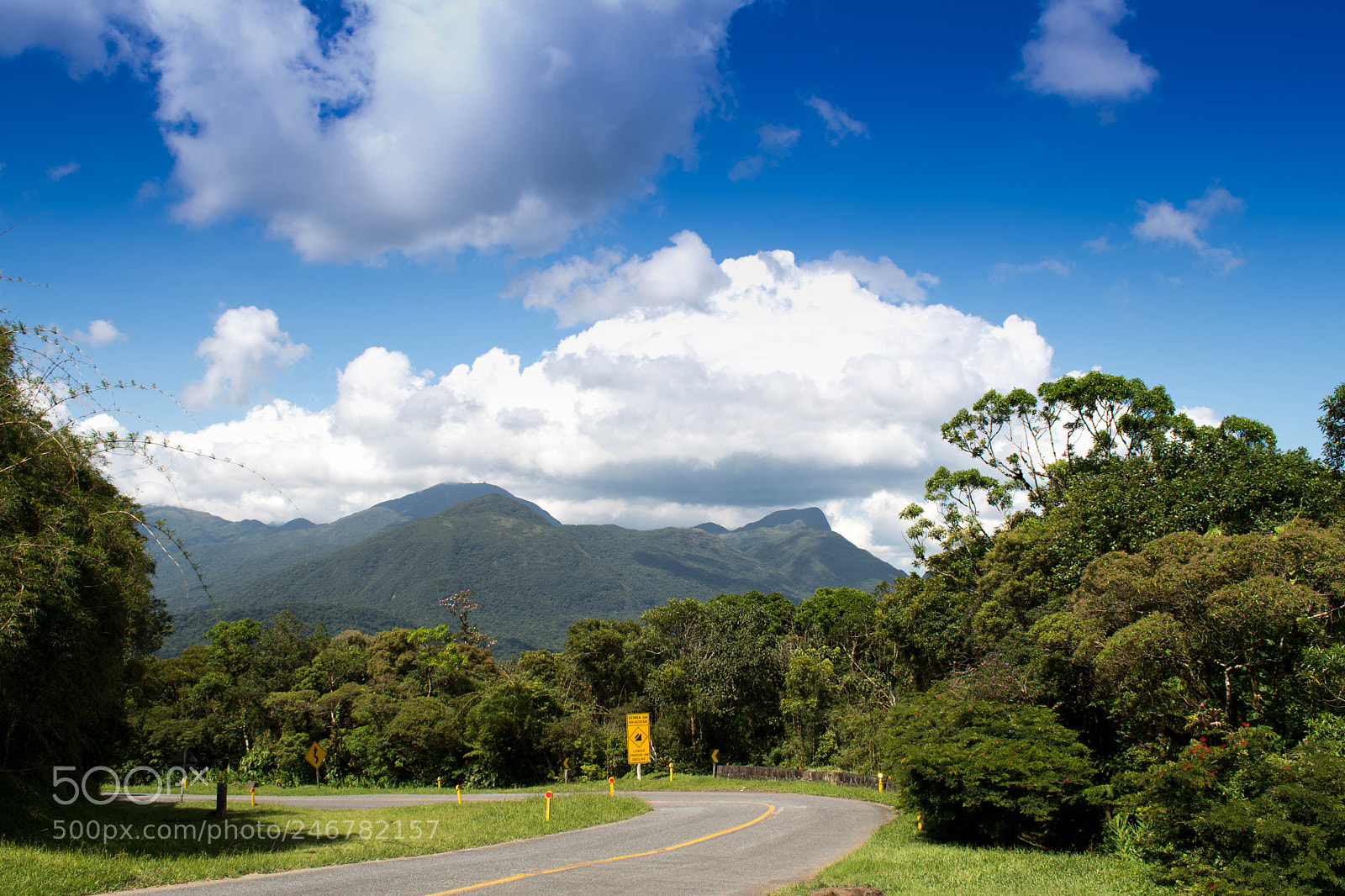 Nikon D7500 sample photo. Nature and road photography