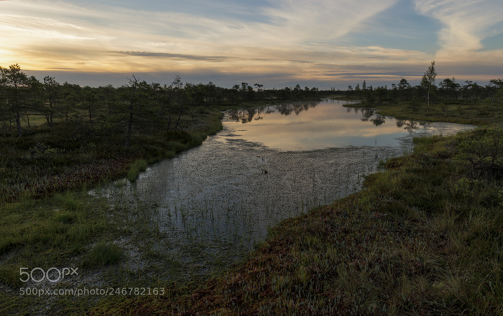 Sony SLT-A99V sample photo. Morning..... photography