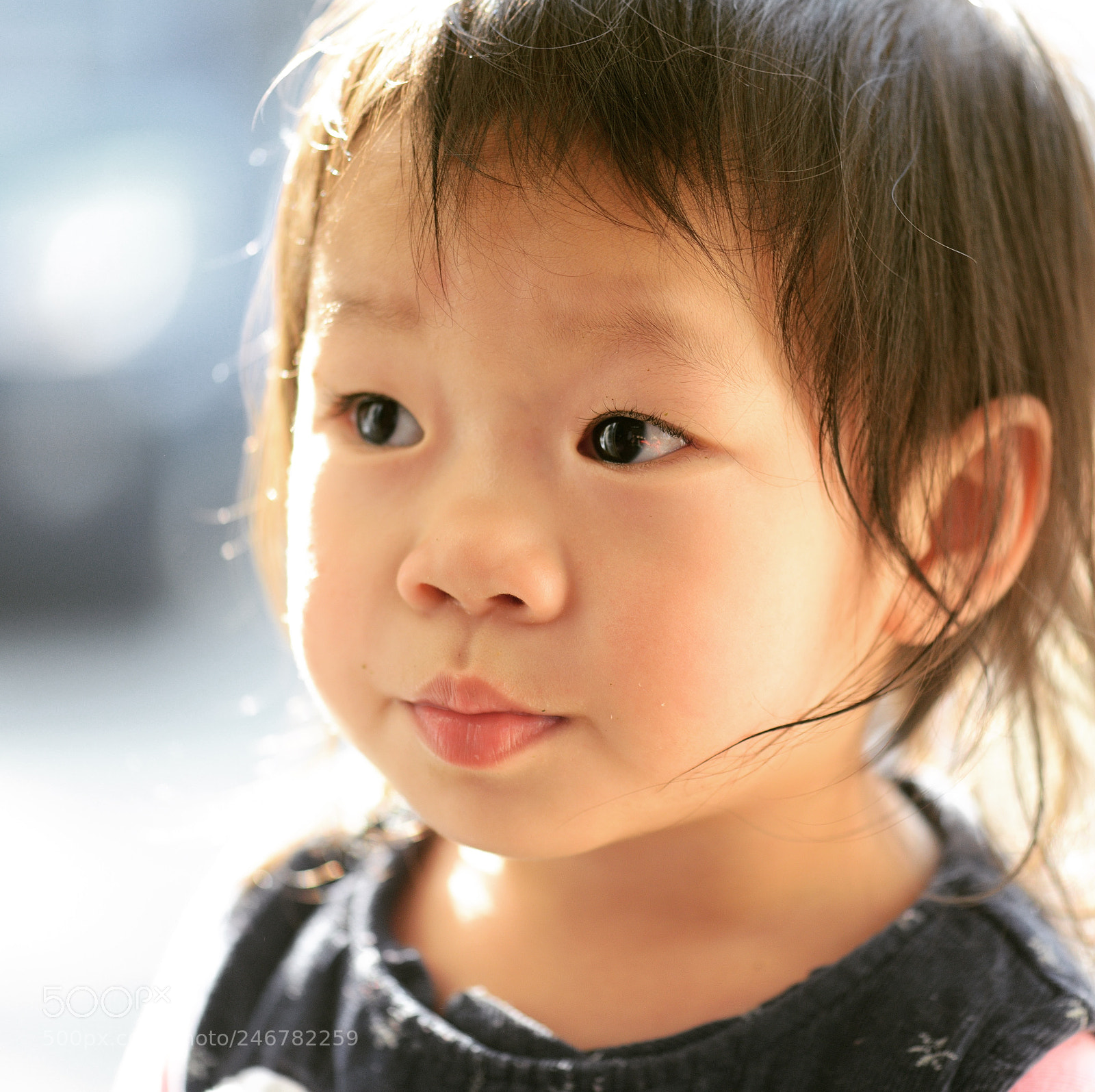 Nikon D800 sample photo. Untitled photography