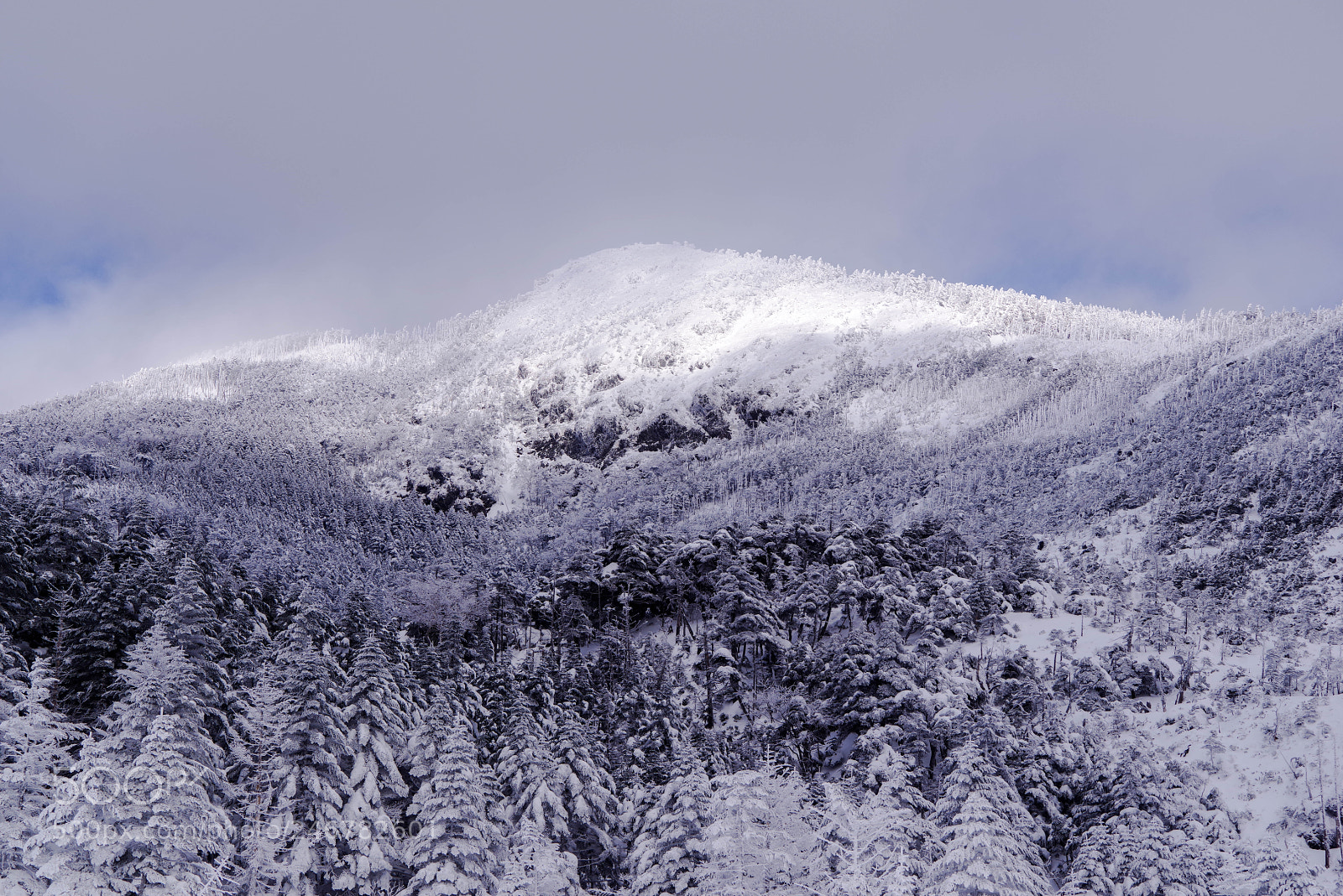 Pentax K-1 sample photo. ひかりたゆたう雪の山 photography