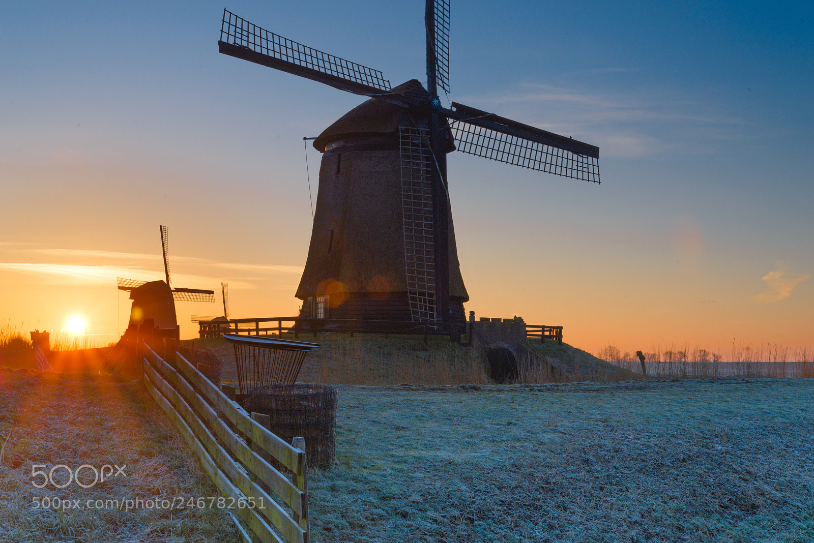 Nikon D610 sample photo. Schermermolens bij zonsopgang photography