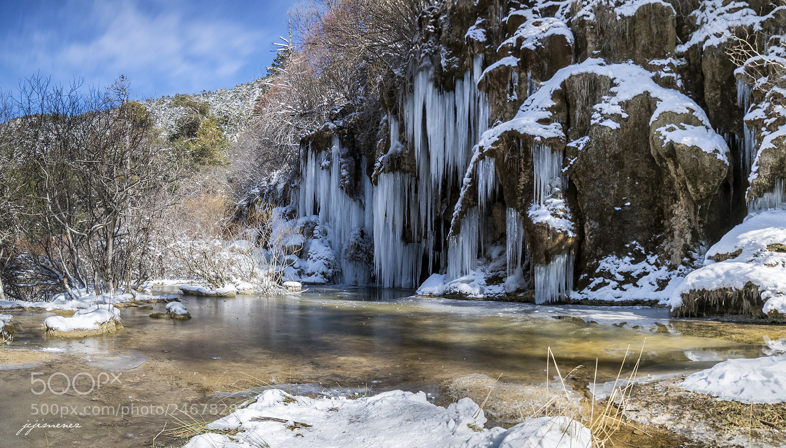 Nikon D500 sample photo. Frozen photography