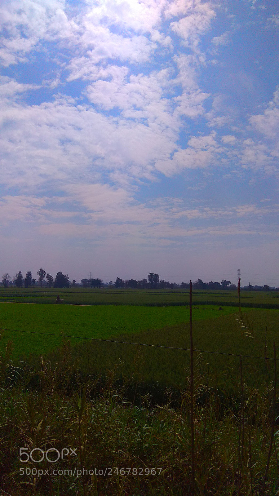 Xiaomi Redmi Note 4 sample photo. Untitled photography