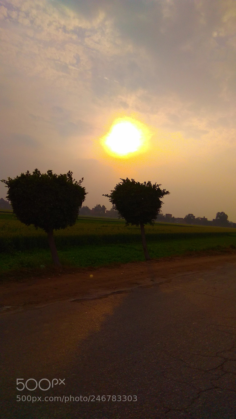 Xiaomi Redmi Note 4 sample photo. Untitled photography