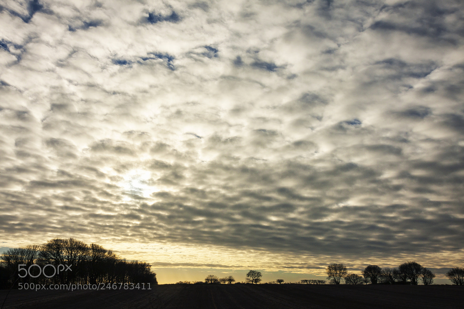 Canon EOS 50D sample photo. Dramatic clouds photography