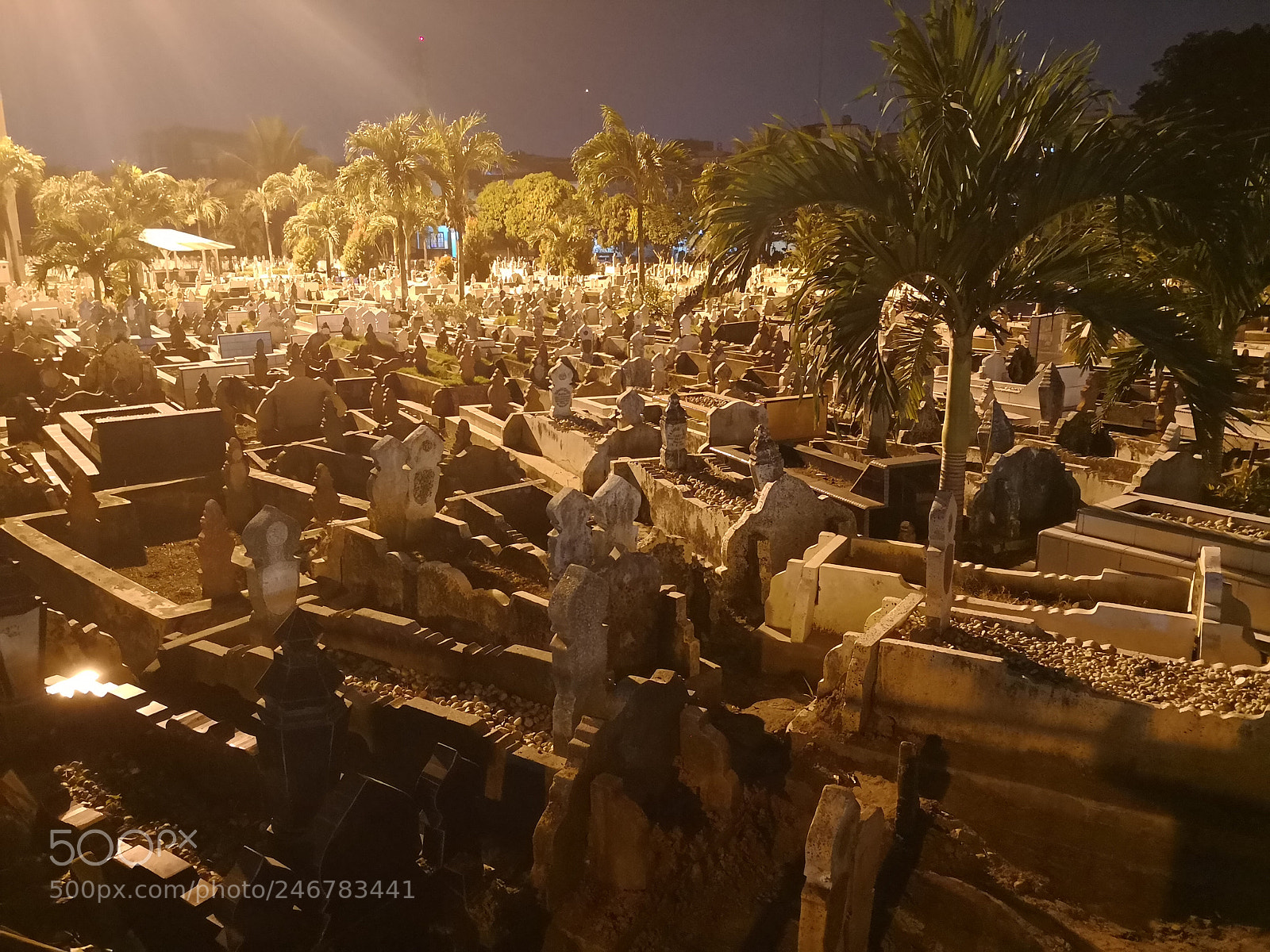 HUAWEI Mate 10 sample photo. Beyond i photography
