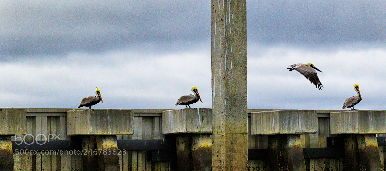 Canon EOS 7D Mark II sample photo. One over three photography
