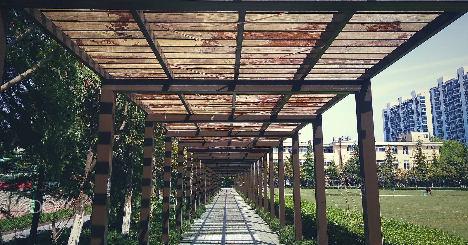 Xiaomi HM Note 2 sample photo. Sidewalk in my school photography