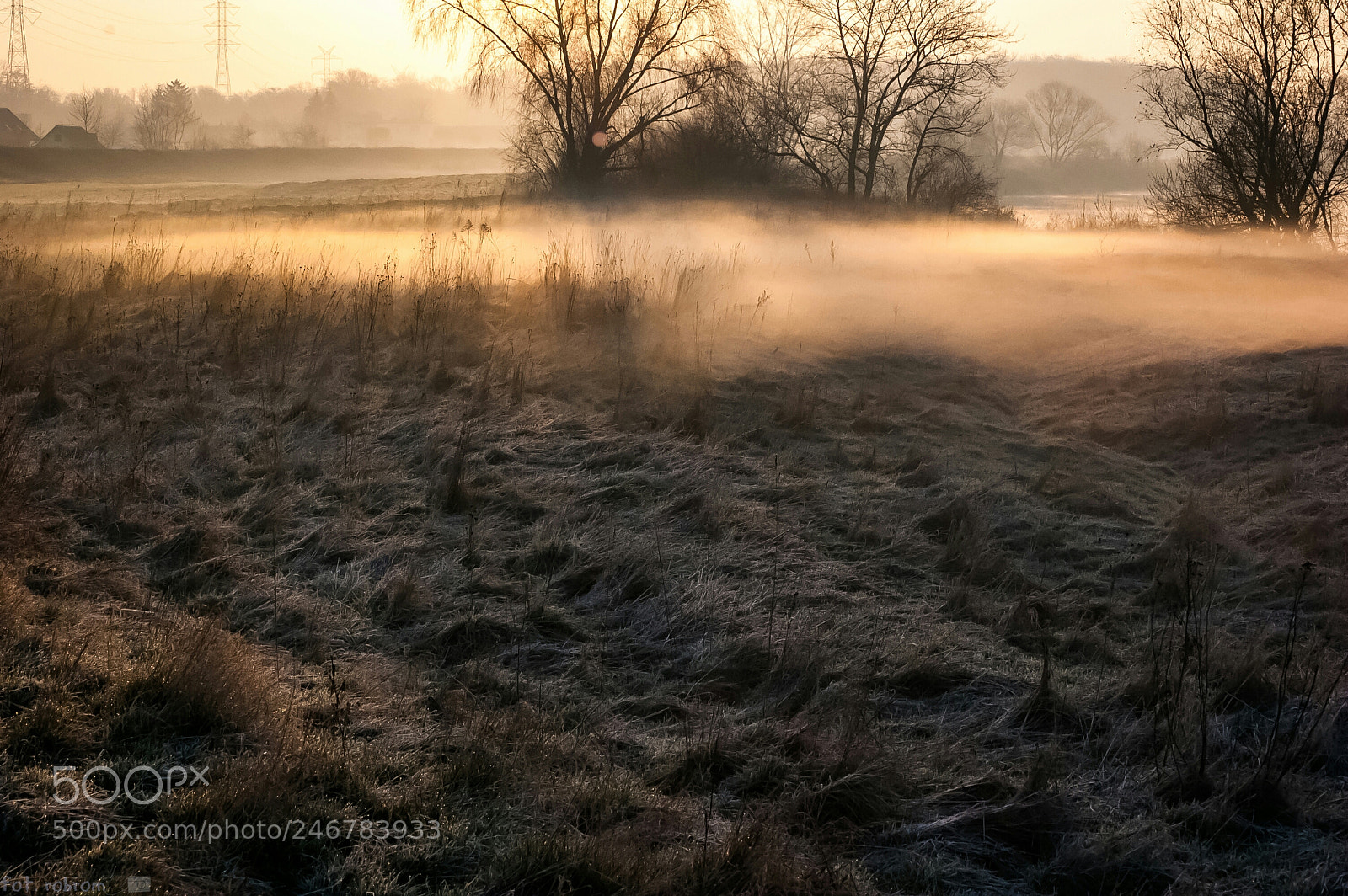 Nikon D50 sample photo. Foggy morning photography