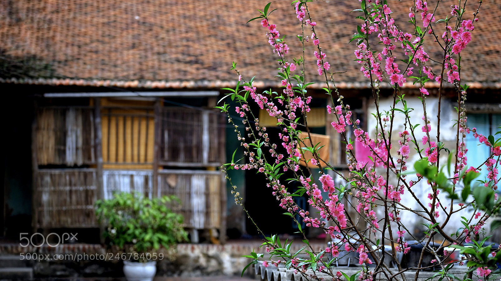 Fujifilm X-T20 sample photo. Untitled photography