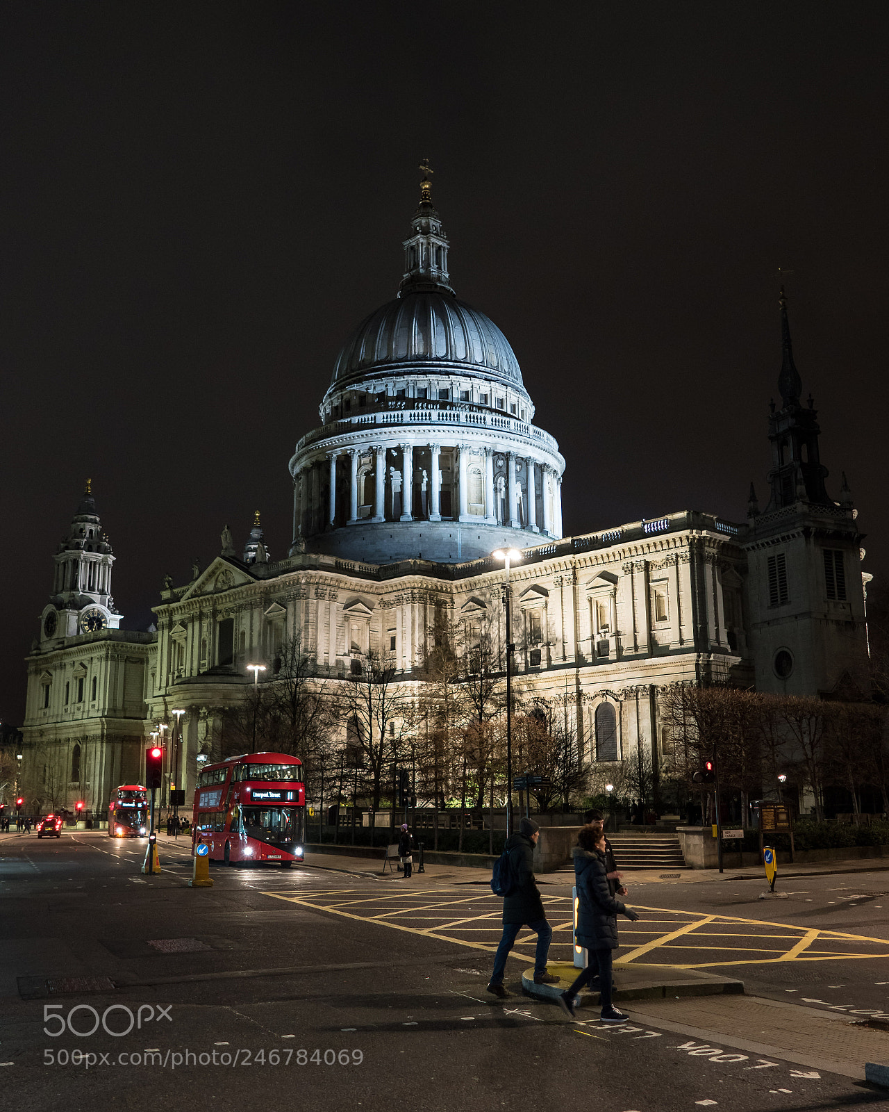 Sony a7R III sample photo. Wren was a genius photography