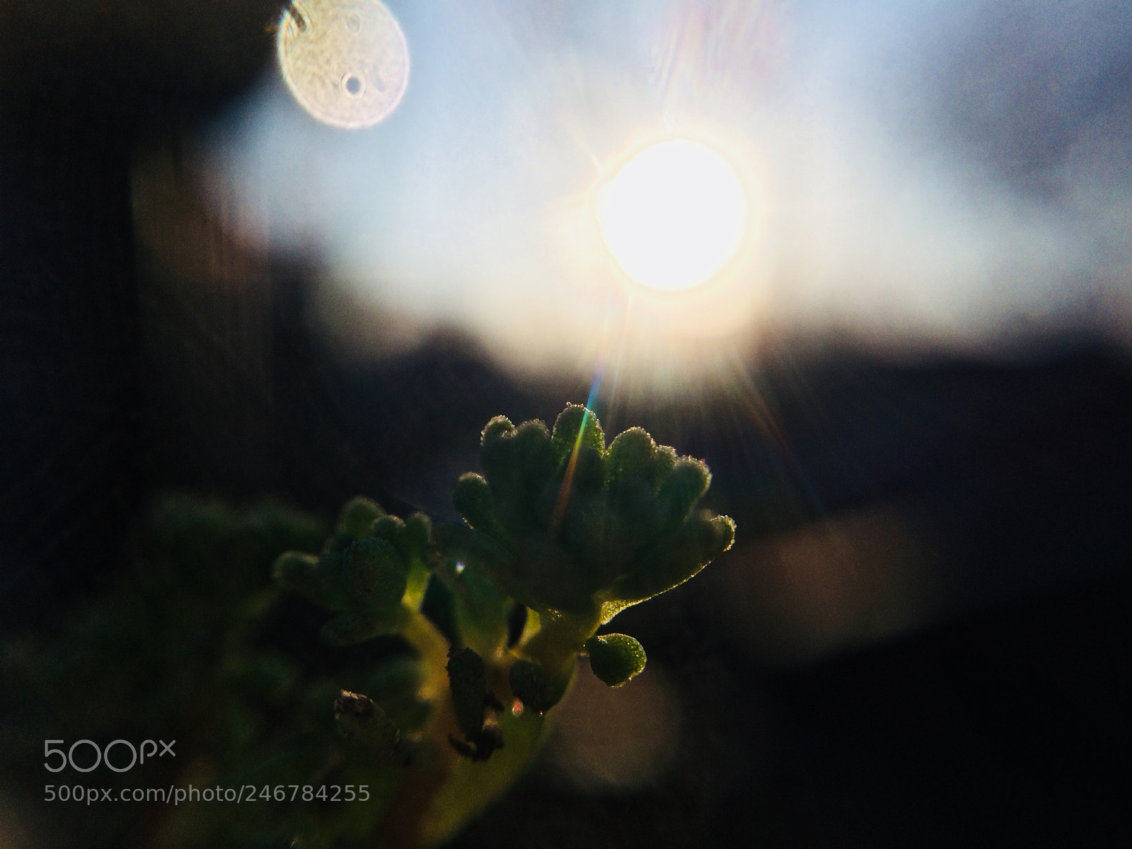 Apple iPhone 5s sample photo. In this sundown photography