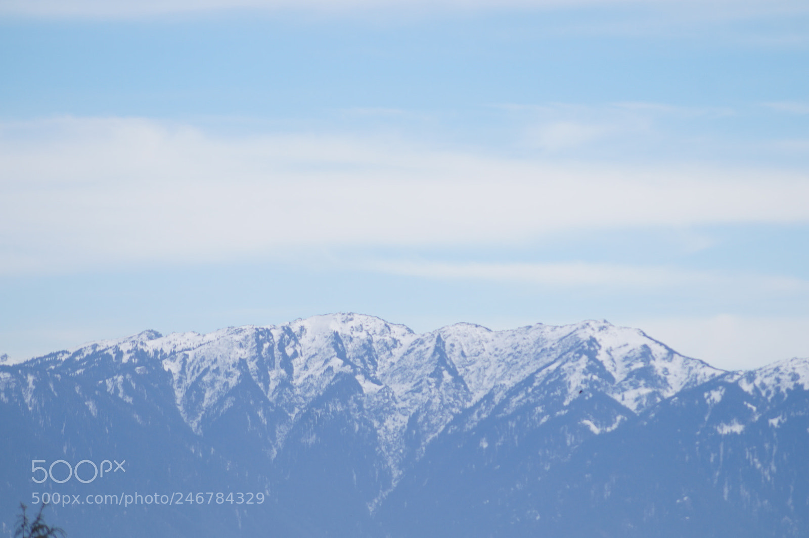 Sony DT 55-200mm F4-5.6 SAM sample photo. Untitled photography