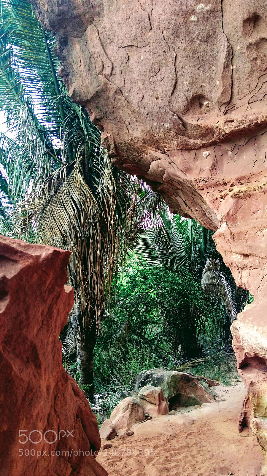 Motorola Moto G Play sample photo. Untitled photography