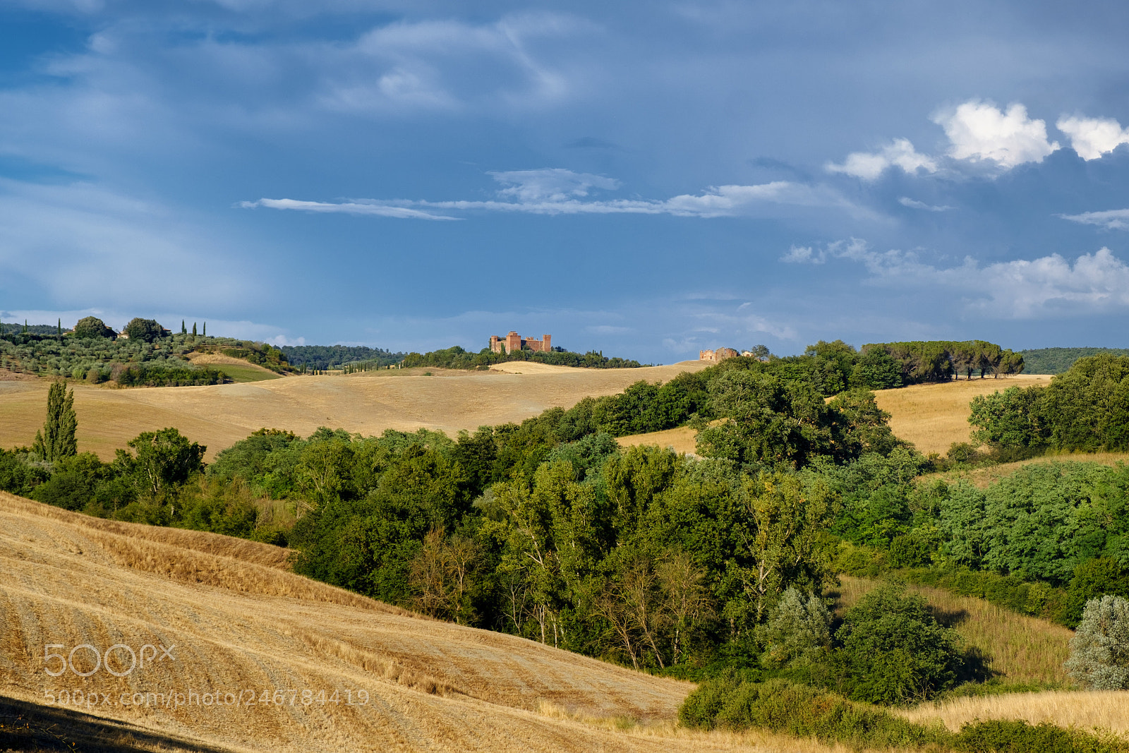 Fujifilm X-T2 sample photo. Summer landscape near asciano photography