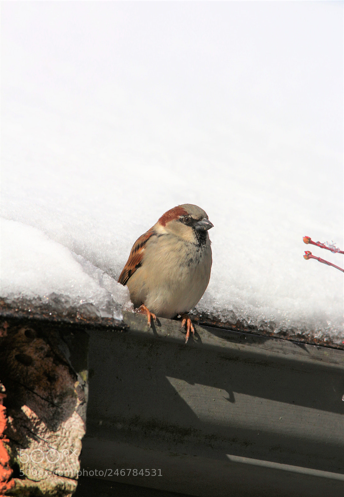 Canon EOS 700D (EOS Rebel T5i / EOS Kiss X7i) sample photo. Cooling off! photography