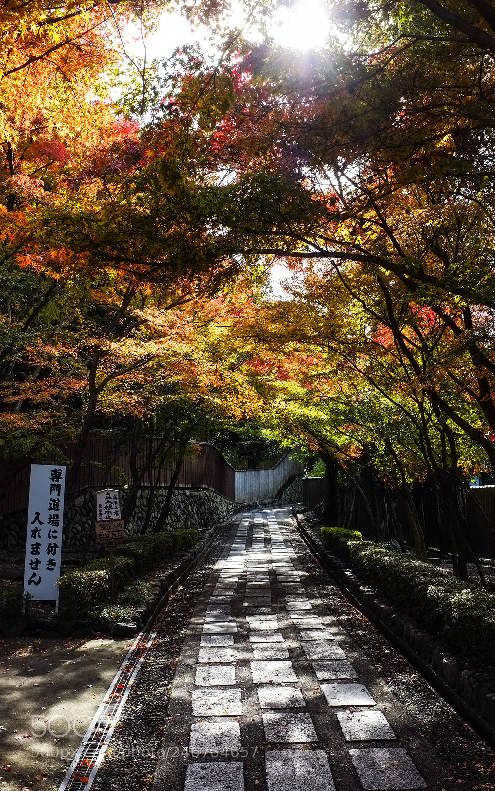 Fujifilm FinePix X100 sample photo. Moment photography
