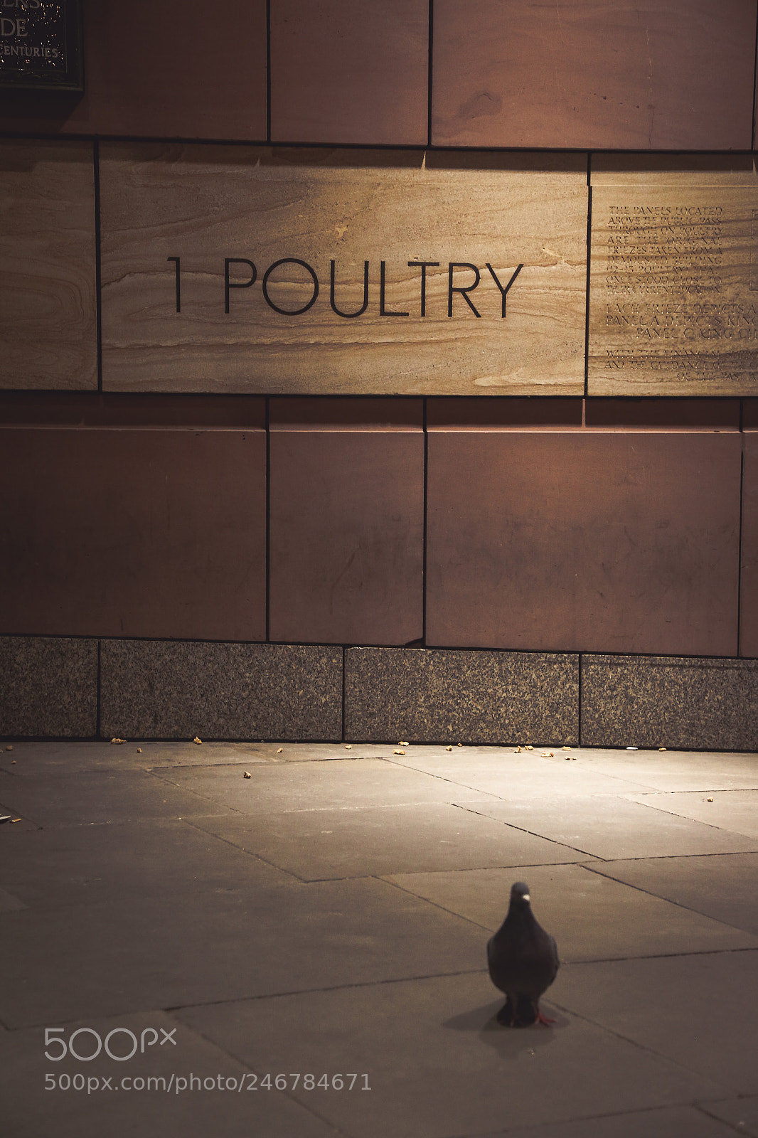Canon EOS 6D sample photo. #1 poultry, london photography