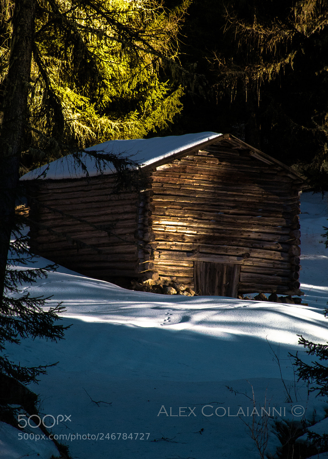 Nikon D7100 sample photo. Trentino baita photography