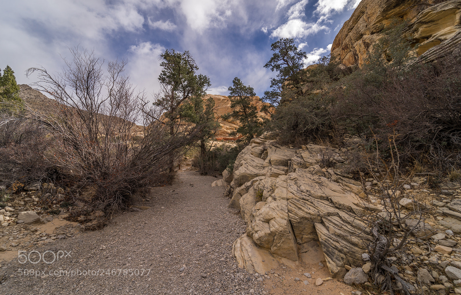 Sony a7 sample photo. Calico tanks hiking trail photography