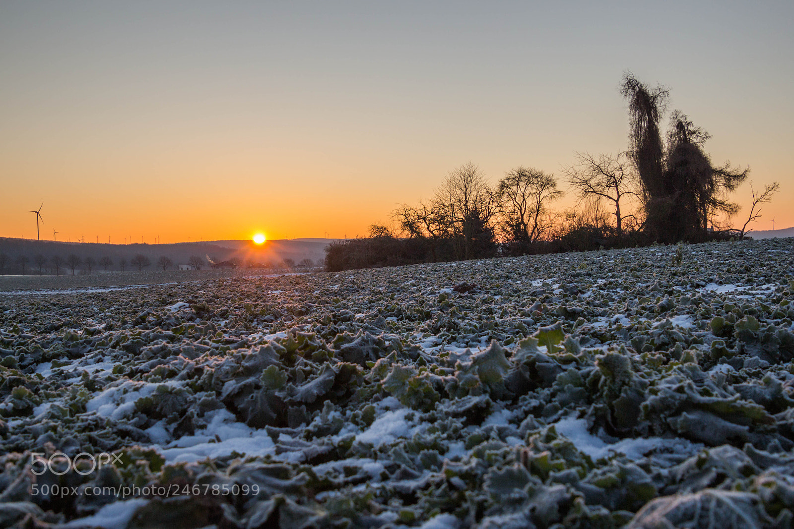 Canon EOS 700D (EOS Rebel T5i / EOS Kiss X7i) sample photo. Cold sunrise photography