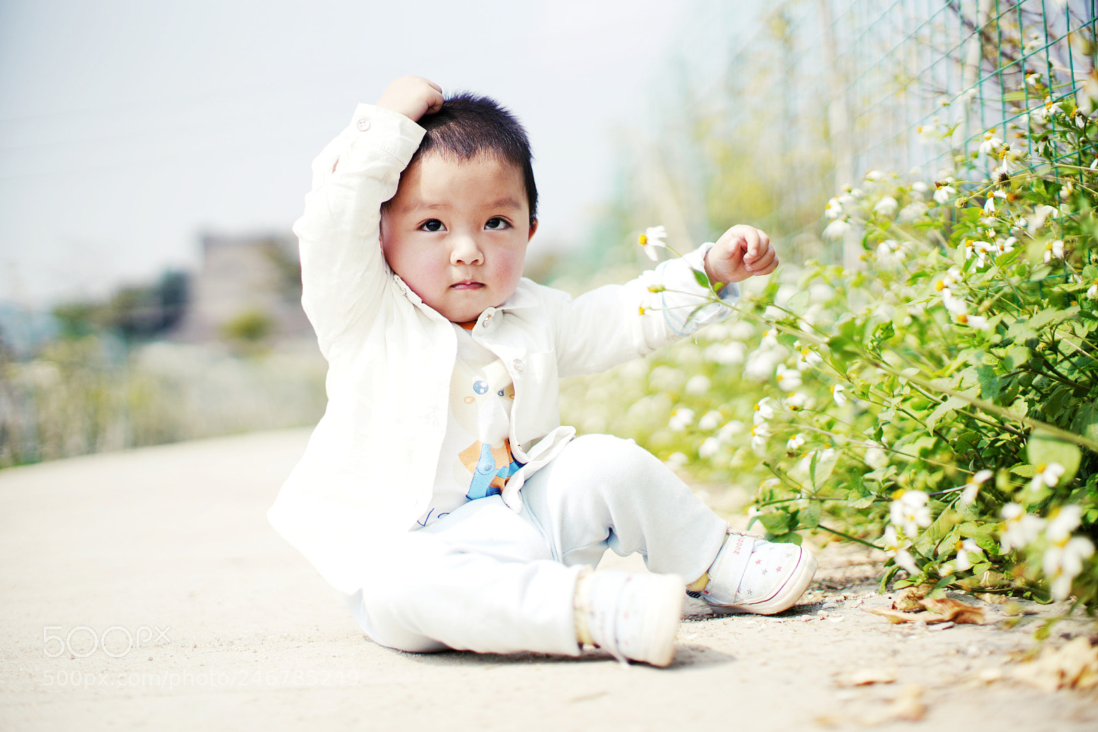 Sony a7R III sample photo. Untitled photography