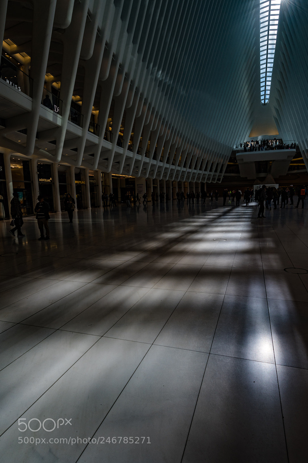 Nikon D500 sample photo. Walk through new york photography