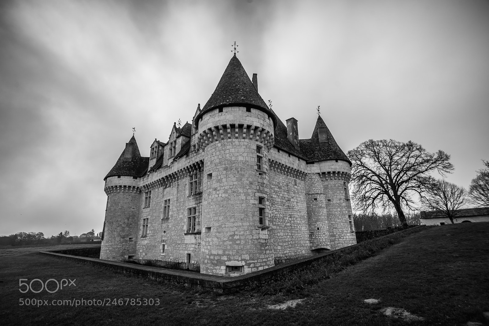 Nikon D600 sample photo. Monbazillac castle : france photography