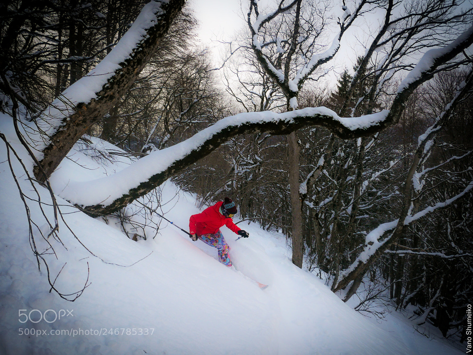 Panasonic Lumix DMC-G85 (Lumix DMC-G80) sample photo. Magic ski in trees photography
