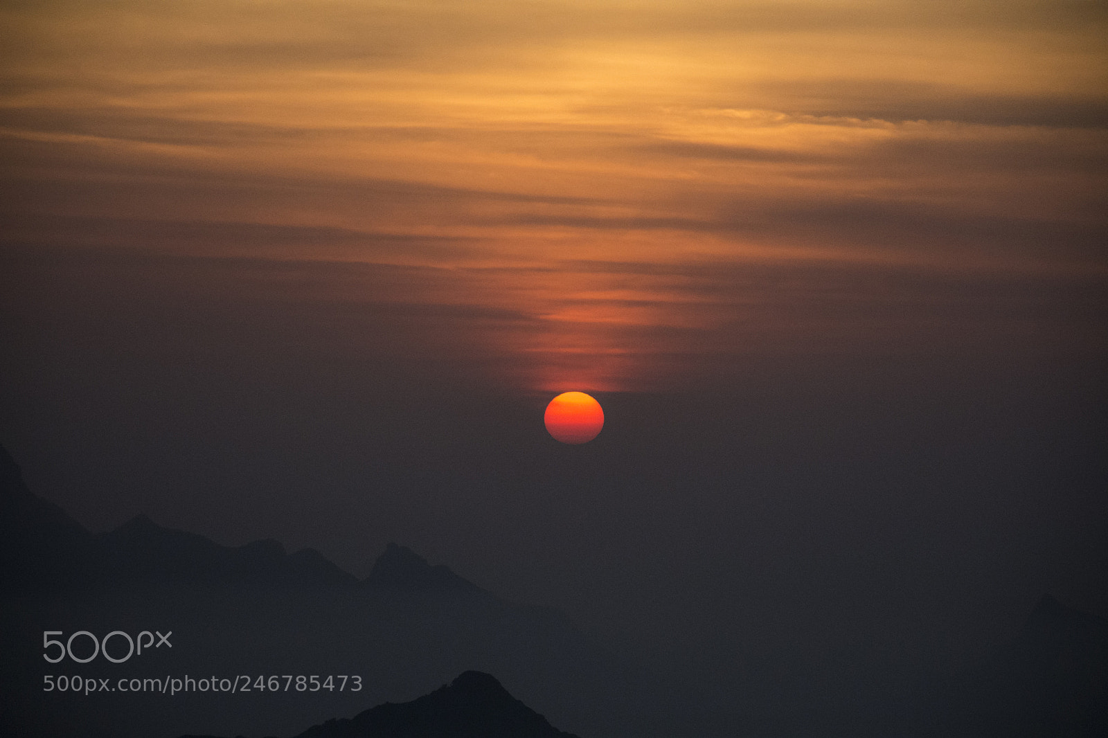 Nikon D7100 sample photo. Untitled photography