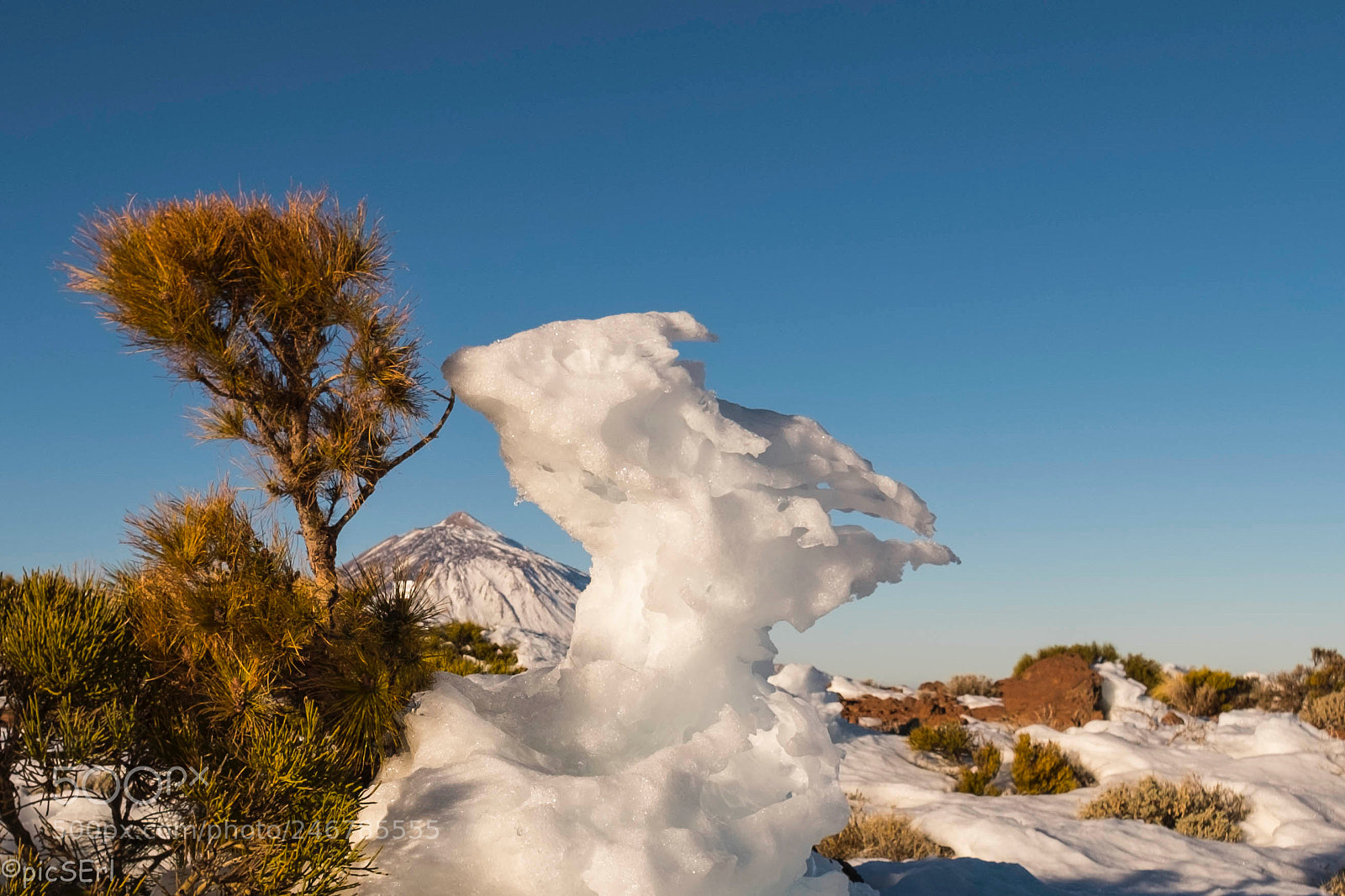 Fujifilm X-T2 sample photo. Ice sculpture 3 photography