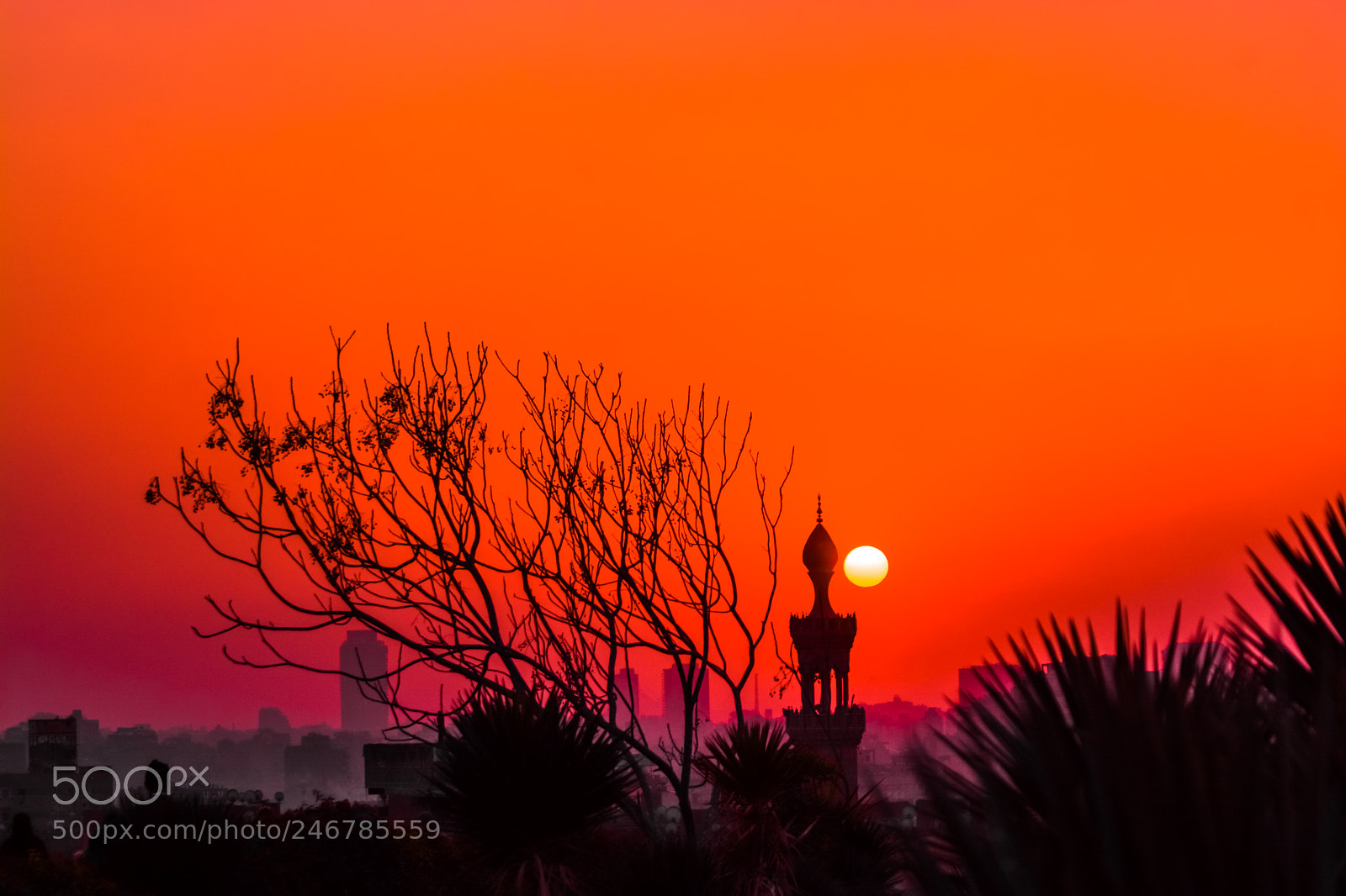 Nikon D5200 sample photo. Sunset photography